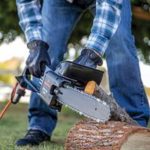 Top 11 Best Small Chainsaws in 2022 Reviews