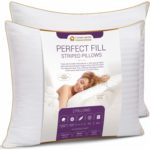 Top 10 Best King Size Pillows in 2022 Reviews