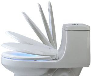 #2 Brondell LumaWarm Heated Nightlight Toilet Seat 