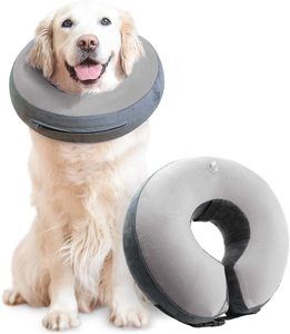 6. GoodBoy Comfortable Recovery E-Collar for Dogs and Cats