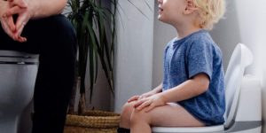 Top 10 Best Toddler Toilet Seats in 2022 Reviews