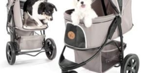 Top 10 Best Cat Strollers in 2022 Reviews