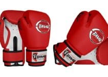 Top 10 Best Kids Boxing Gloves of (2022) Review