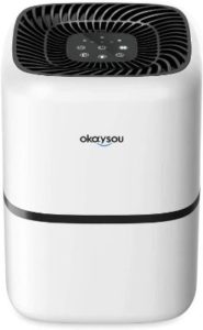 #3. Medical Grade Air Purifier With HEPA Filters